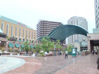 DSC00141.JPG